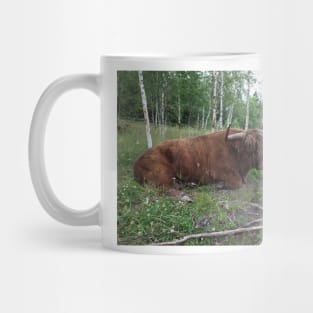 Scottish Highland Cattle Bull 1460 Mug